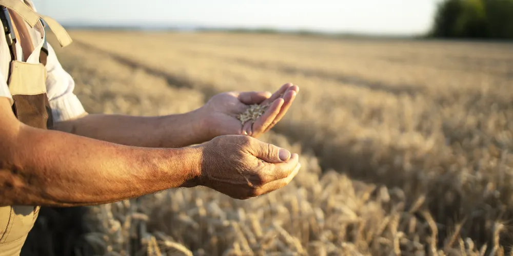 Ao todo, são 305 oportunidades de emprego.