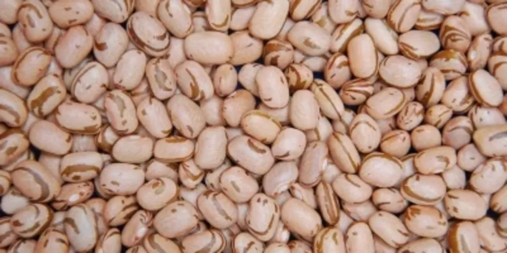 A média da parcial deste mês (até o dia 12) do grão carioca já está mais de 20% superior à de janeiro