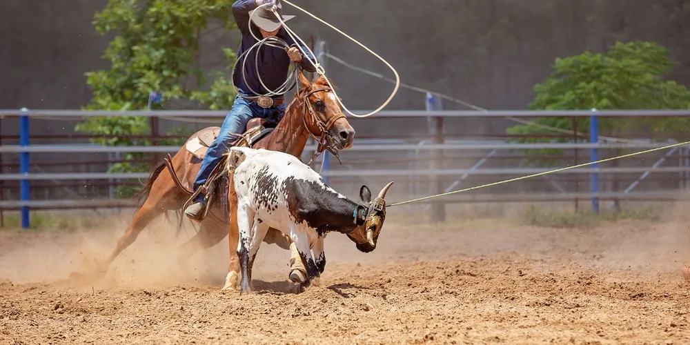 A festa acontece entre 18 e 21 de março, no Parque de Exposições Dario Macedo