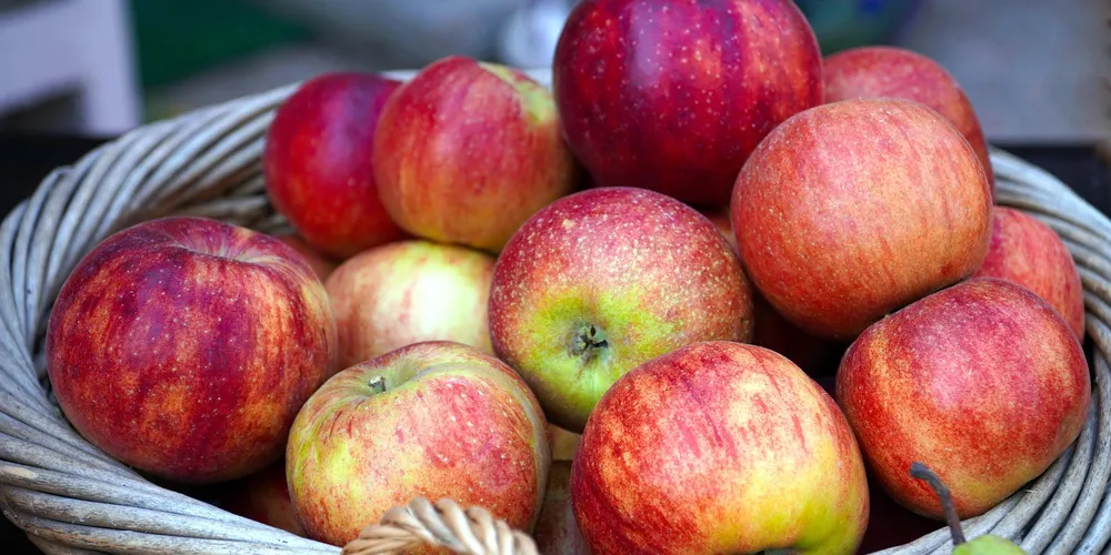 Redução dos preços internos torna a exportação da fruta brasileira mais competitiva