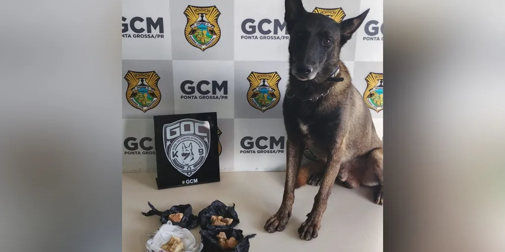 A droga foi apreendida e apresentada na delegacia da Polícia Civil