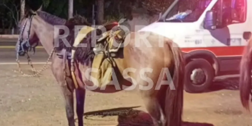 O menino e a égua tiveram ferimentos