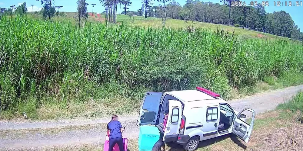 Vídeo gerou grande repercussão nas redes sociais