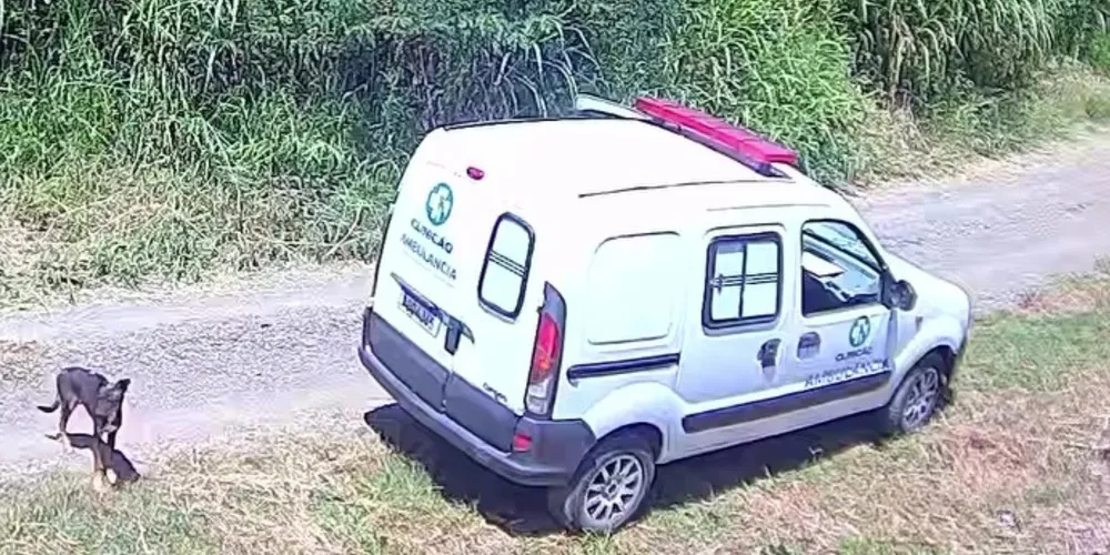 Prefeitura afirma que não houveram irregularidades no caso