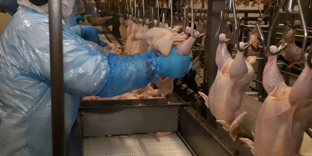 Tensão geopolítica ameaça escoamento de grãos e proteínas, elevando custos para o produtor