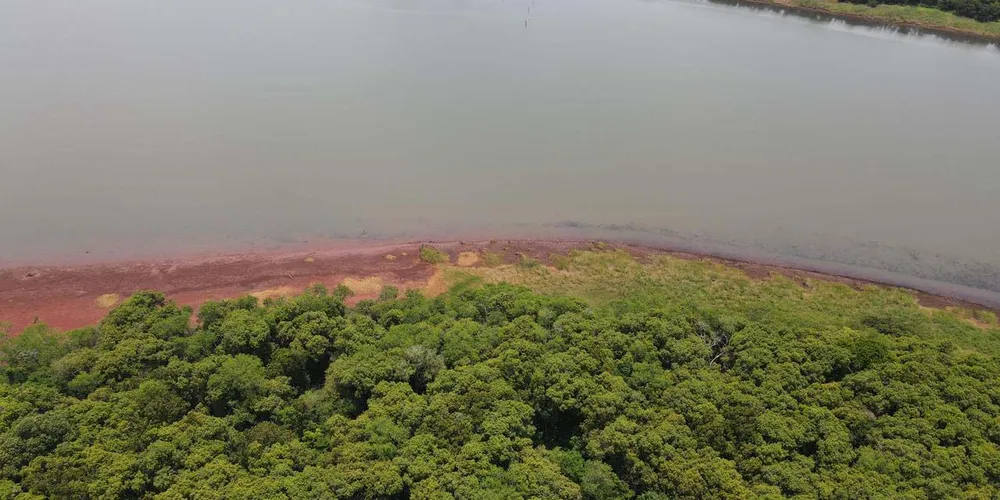Os mananciais do Rio Pitangui garantem o repasse aos municípios de Castro e Carambeí