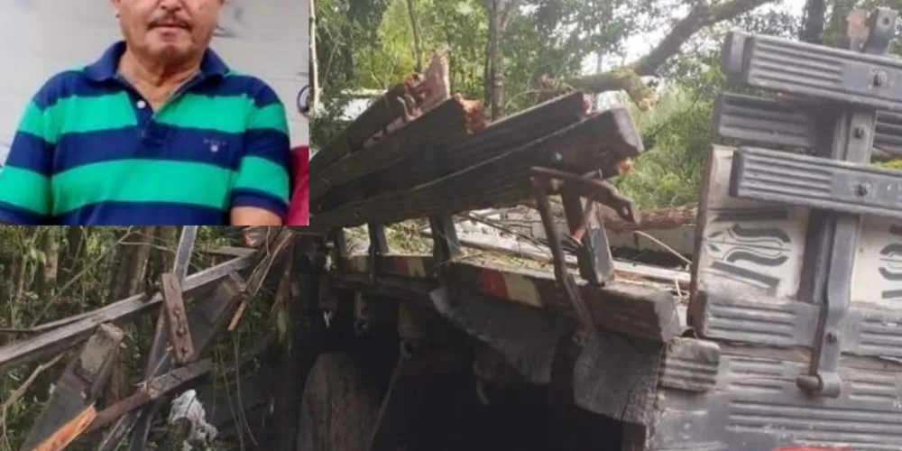 O caminhão Mercedes-Benz que ele conduzia saiu da pista e acabou parando em meio à vegetação