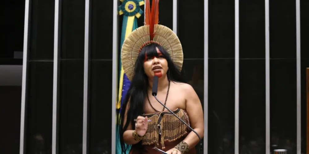 Discussão e votação de propostas legislativas. Dep. Célia Xakriabá