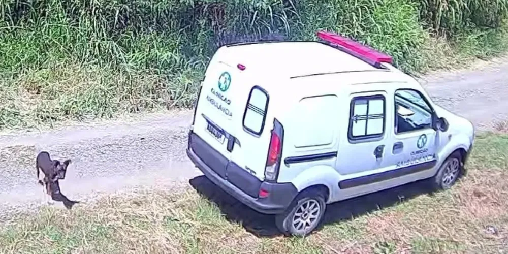 Empresa diz que soltura é procedimento padrão