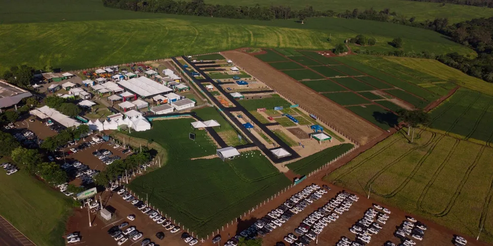 Belagrícola tem menos de duas semanas para definir o próximo passo