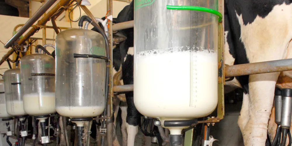 Produção de leite