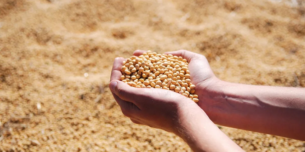 Gargalo derruba preços em cidades como Ponta Grossa e Cascavel