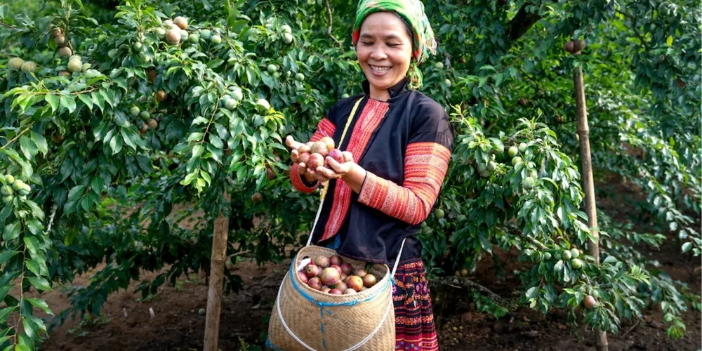 Órgão foi instituído na segunda-feira pela Portaria nº 892