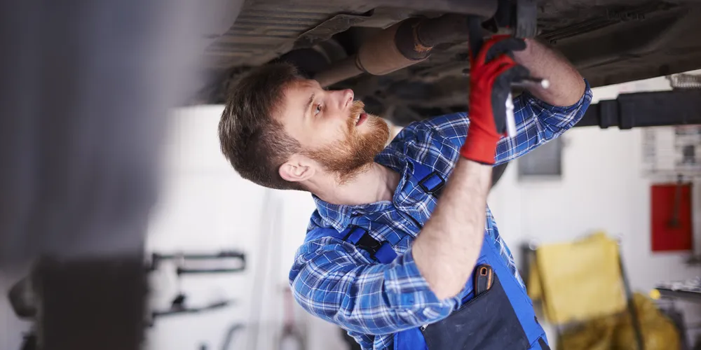 Ao todo, são 255 oportunidades de emprego