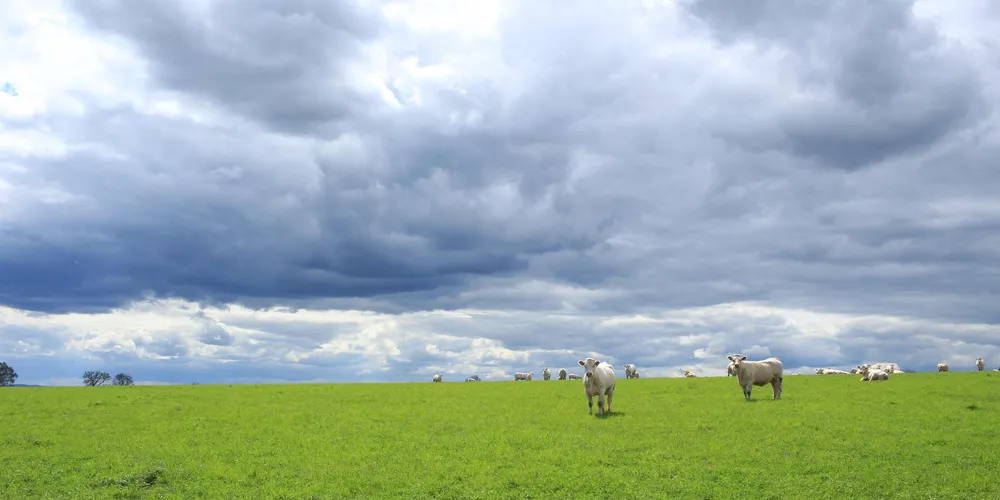 Apesar da promessa de renda extra, setor opera apenas no mercado voluntário e enfrenta desafios de regulamentação, altos custos de auditoria e metas climáticas governamentais consideradas desproporcionais