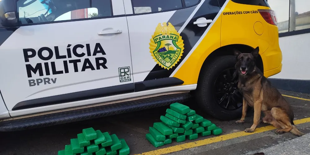 A mulher informou ter embarcado em Cantagalo com destino a Belo Horizonte