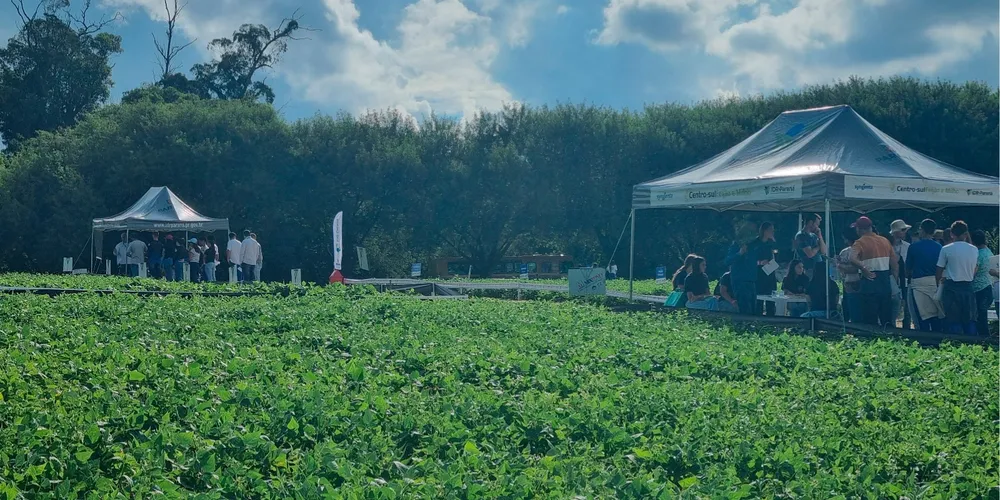 Será apresentado aplicativo desenvolvido pelo IDR que permite uma recomendação personalizada de insumos na lavoura, o que reduz custos para os produtores