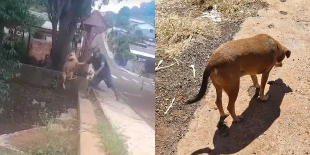 O crime, que aconteceu no dia 6 de fevereiro, foi filmado por moradores e gerou grande repercussão