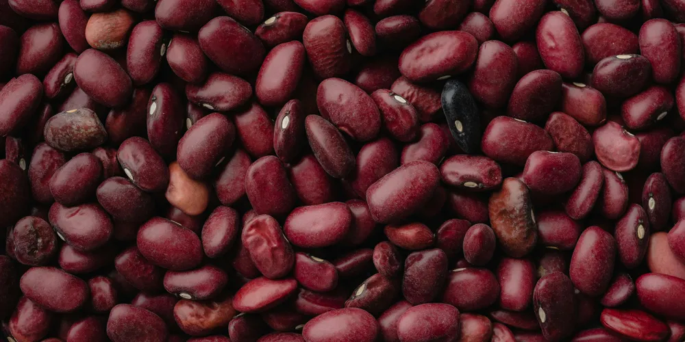 Apesar da alta paga ao produtor, repasse para o consumidor está sendo gradual