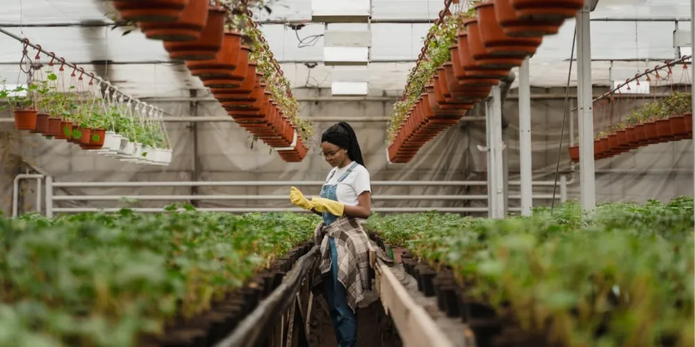 Presença feminina na presidência de sindicatos rurais no Paraná subiu de 7%, em 2020, para 12%, em 2025.