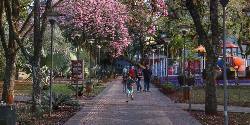 Uma frente fria chega no fim da semana, trazendo muita chuva para os primeiros dias de Carnaval