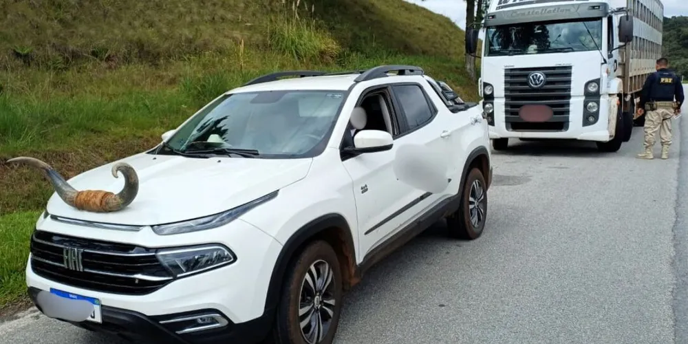 Picape com chifre de boi foi flagrada pela PRF, que orientou motorista