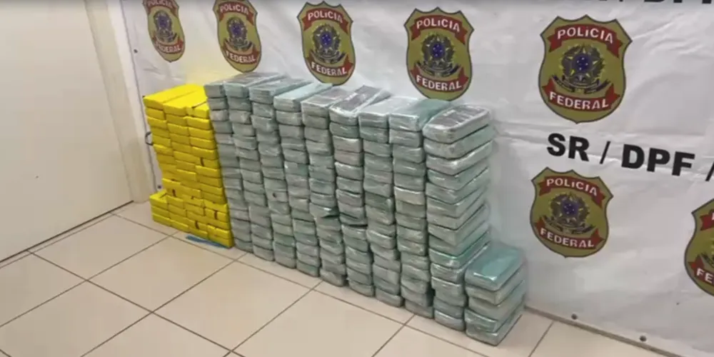 Apreensão aconteceu na região metropolitana de Curitiba