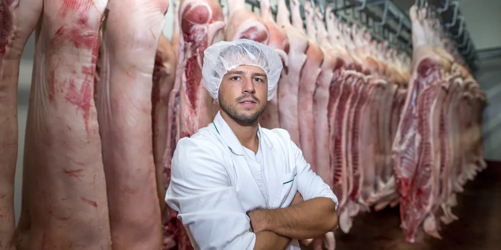 Ao todo, são 300 oportunidades de emprego