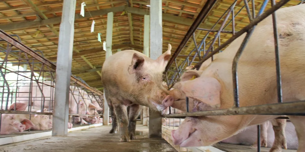 Conflito no Oriente Médio pode gerar custos adicionais sobre o transporte marítimo