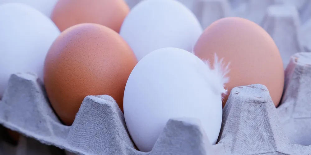 Movimento foi gerado pelo fim das férias escolares, ajuste na oferta e início da Quaresma