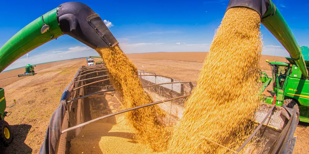 O setor somou R$ 97,8 bilhões, o que corresponde a 52% de toda a riqueza gerada pelo agro paranaense