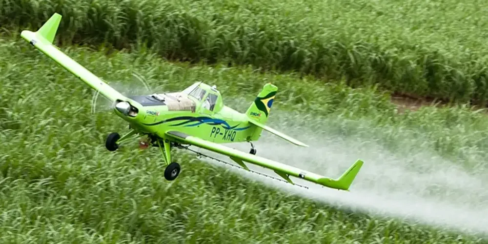 Seis de oito grupos de espécies estão mais vulneráveis aos níveis crescentes de toxicidade