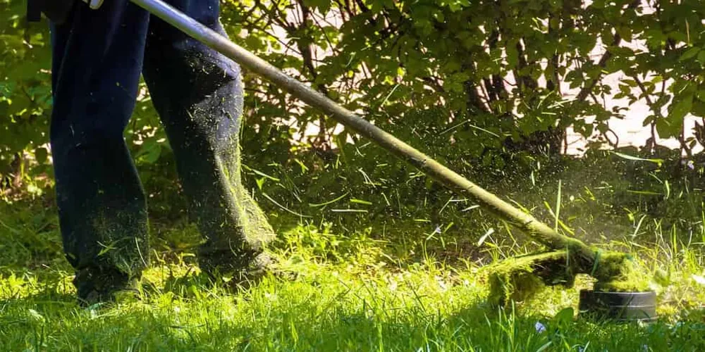 Os proprietários têm prazo de 10 dias para executar a limpeza dos terrenos