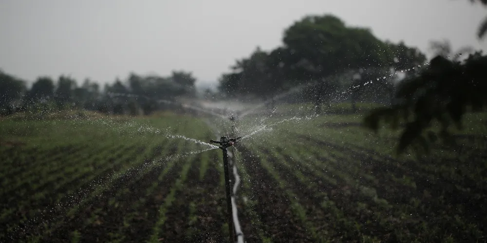 Programa Irriga Paraná quer aumentar 20% da área irrigada no estado