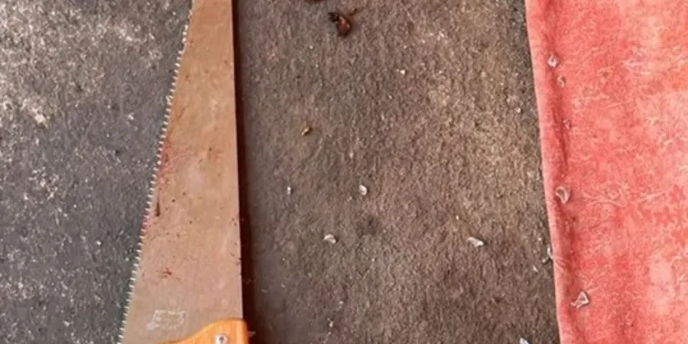 Segundo a PMDF, o homem apresentava comportamento extremamente agitado, com indícios de surto psicótico