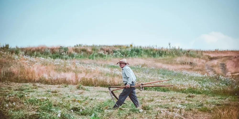 Estudo aponta que redução da carga horária trabalhista custaria R$ 4,1 bilhões anuais ao agronegócio do Paraná