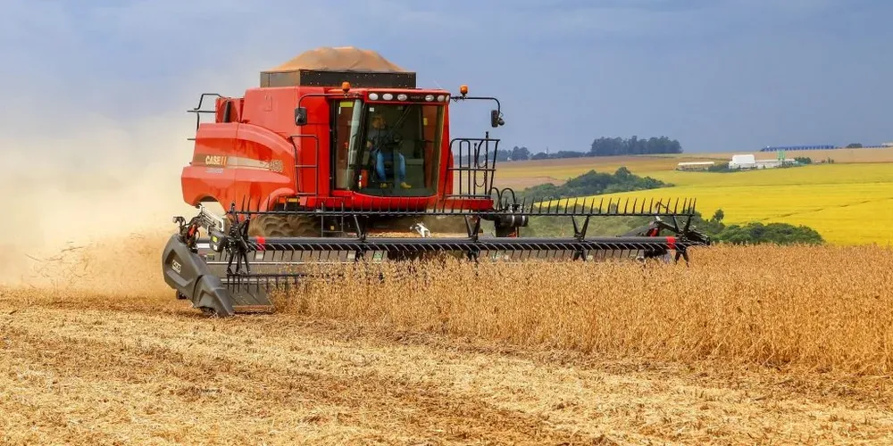 As cooperativas agropecuárias respondem por 66% da produção de grãos e 45% da produção de proteína animal no Paraná