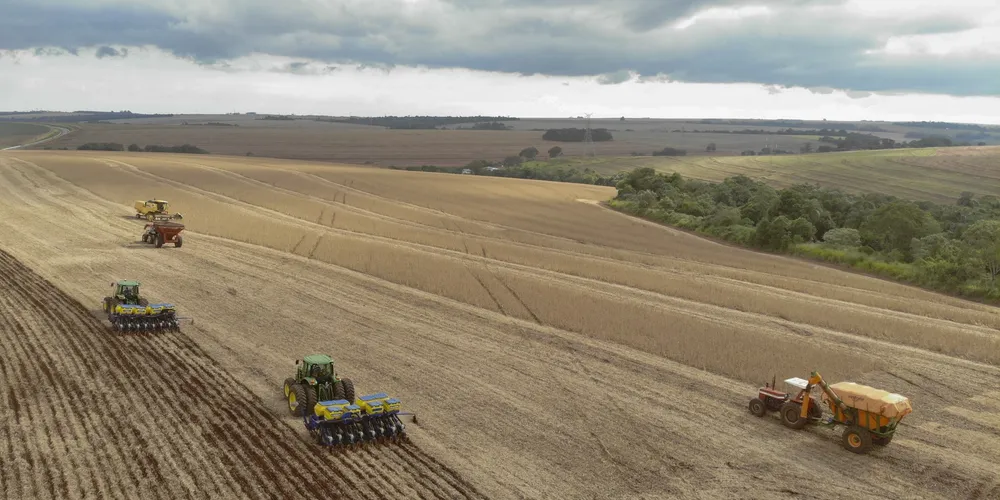 Produção de soja no Paraná
