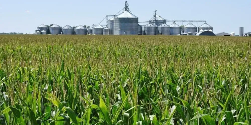 O Brasil deve encerrar a atual ano-safra com 10 bilhões de litros produzidos