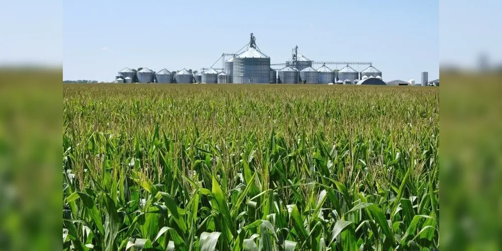 O Brasil deve encerrar a atual ano-safra com 10 bilhões de litros produzidos