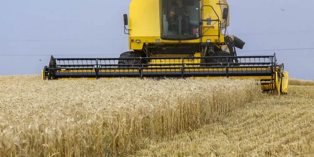 Mesmo com chuvas frequentes, o documento confirma um forte cenário agrícola no Paraná