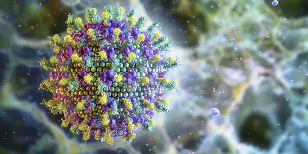 O surto recente registrado na Índia teve dois casos confirmados