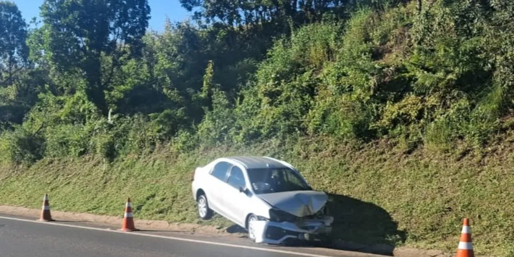 O resgate foi realizado pela equipe da concessionária EPR