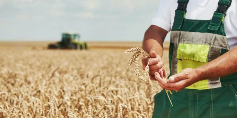 Produtores rurais que já regularizaram a situação até a data do comunicado devem desconsiderar o aviso