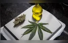 Debate sobre cannabis medicinal avança no Senado com novas propostas