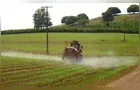 Área tratada com defensivos agrícolas no Brasil cresce 6,1% em 2025