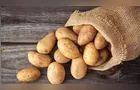 Batata: Chuva limita oferta, e preços sobem nos atacados
