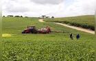 Brasil deve embarcar até 11,708 milhões de toneladas de soja em fevereiro, aponta Anec