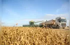 Demanda externa e incerteza climática sustentam avanço no preço da soja