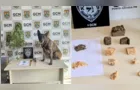 Maconha e crack são apreendidas com a ajuda de 'Bolt' nesta sexta em PG